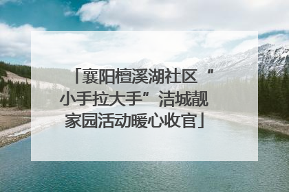 襄阳檀溪湖社区“小手拉大手”洁城靓家园活动暖心收官